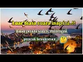 Download Lagu SUARA WALET PANGGIL + INAP STEREO | 3.SUARA RAJA SUPER TARIK INAP PILIHAN