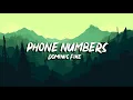 Dominic Fike - Phone Numbers (Lyrics)