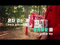 [TJ노래방] 연애소설(Love Story) - 규현(KYUHYUN) / TJ Karaoke