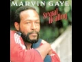 Download Lagu Marvin Gaye - Sexual Healing