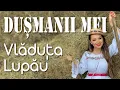 Download Lagu Vladuta Lupau - Dusmanii mei -  Colaj etno