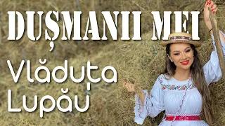 Download Vladuta Lupau - Dusmanii mei -  Colaj etno MP3