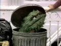 Classic Sesame Street - Bob Discusses Littering with Oscar