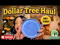 Dollar Tree Haul Fabulous Friend Mail