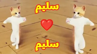 سليم سولي ابو دم خفيف اسم سليم اغنية سليم اغنيه باسم سليم السعودية فلسطين المغرب الجزائر تونس 