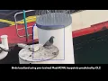 CVPR CV4Animals 3D-MuPPET 3D Multi-Pigeon Pose Estimation and Tracking