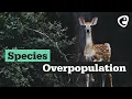 Species overpopulation