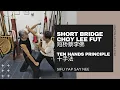 Lagu Short Bridge Choy Lee Fut: Ten Hands Principles (短桥蔡李佛: 十手法)