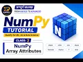 NumPy Tutorial Array Attributes Explained ndim shape size dtype itemsize nbytes Data Science