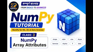 NumPy Tutorial Array Attributes Explained ndim shape size dtype itemsize nbytes Data Science