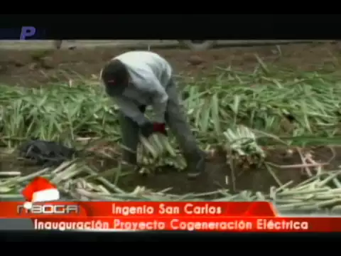 Ingenio San Carlos Inauguración Proyecto Cogeneración Eléctrica