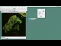 How to use Fiji or ImageJ to create a 3D image using 3D viewer plugin