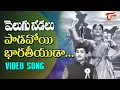 Download Lagu Velugu Needalu - Paadavoyi Bhaaratheeyudaa - Patriotic Song