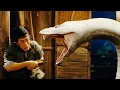 Download Lagu The Sorcerer and the White Snake 2011 Film.Explained Summarized Fantasy 1080p