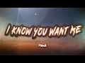 Download Lagu Pitbull - I Know You Want Me (Calle Ocho) (Lyrics)