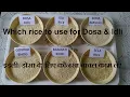 Download Lagu Which rice to use for making Dosa or Idli: dosa recipe rice urad dal ratio: Best Rice for Dosa