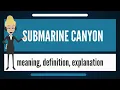 What is SUBMARINE CANYON What does SUBMARINE CANYON mean SUBMARINE CANYON meaning explanation