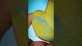 How A Pill Works