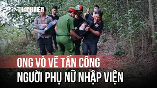 Bị ong vò vẽ tấn công khi đi hái nấm, người phụ nữ nhập viện cấp cứu