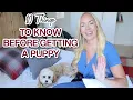 OWNING A DOG 10 Things I Wish I d Known Before Getting a Puppy cavapoo