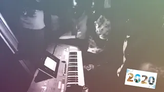 نانسي ارساليه 2020طاسو 