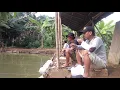 Lagu Mancing di kebon enam bogor