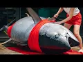 Download Lagu The Crowd Went Silent Watching This 456kg Bluefin Tuna Cut #BluefinTuna #TunaLiveShow
