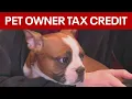 New Jersey pet owners could get a tax credit under proposed b