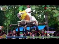 Download Lagu Atraksi Sesingaan|| Lounching SINGA DANGDUT YANG BERGELORA \