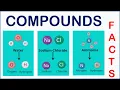 Understanding Compounds The Science of Combining Elements