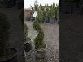 Alpha Nursery Plant Tour