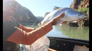 Barramundi Bushcraft Brewing – Free Range Sailing Ep 9