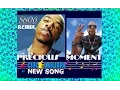 Download Lagu Sisqo - Incomplete Remix '' Precious Moment '' by Chic - Équilibre