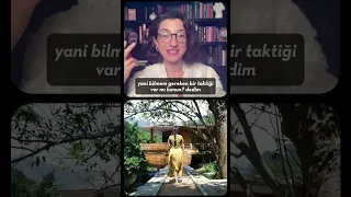 Yürüme Meditasyonu