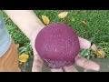 Review Makanan VIRAL Di Tiktok, Taro Bun Butter \u0026 Taro Bun Chocolate 