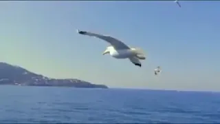 عبد الزهرة مناتي سنين العمر دندنها