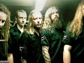IN FLAMES-REFLECT THE STORM