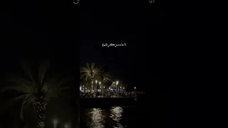 مين زينا يا حبيبي الليلة اليسا حالات واتس 