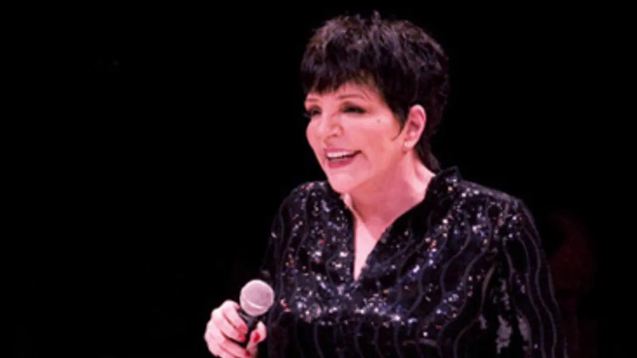 Liza Minnelli What Did I Have That I Don’t Have? Liza Minnelli What Did I Have That I Don’t Have?