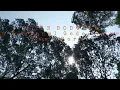 Download Lagu Nafas  belantara  hutan Bodogol