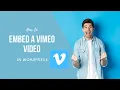 How to Embed a Vimeo in WordPress 2021 tutorial
