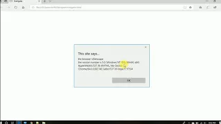 JavaScript program to show browser information Navigator object
