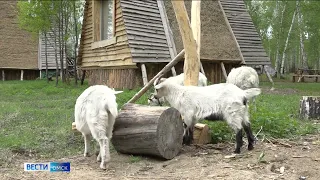 30 миллионов рублей получат омские фермеры на развитие агротуризма