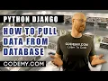 Pull Data From The Database - Django Databases