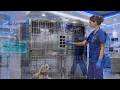 Kalstein Stainless Steel Hospital Oxygen Cage YR06609 English