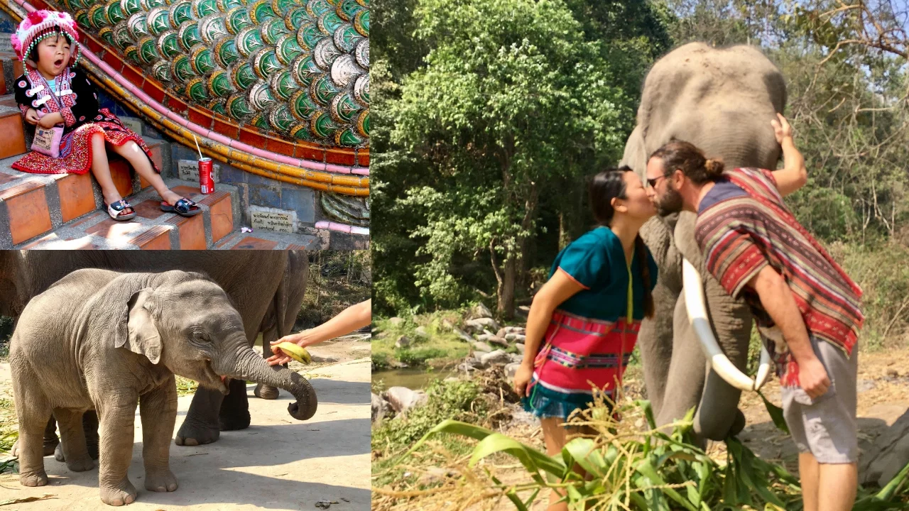 THAILAND 2017 - Bangkok & Chiang Mai Food, Elephants, Temples