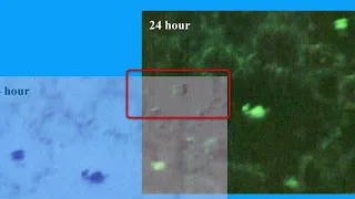 D9A8E9B2F59DB182B8BC2A3A431427 1 