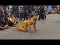Download Lagu Macan Ngamuk Bantengan Satria Macan Kumbang Kudur Gondang Mojokerto