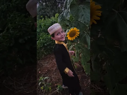 لا إله إلا الله