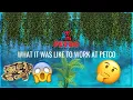 WHAT IT S LIKE TO WORK AT PETCO